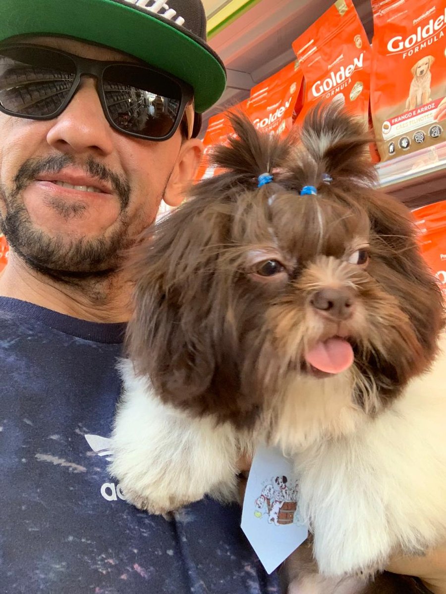 Veterinária Couto