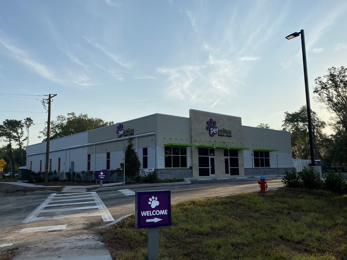 PetSuites Carrollwood - Photo 2