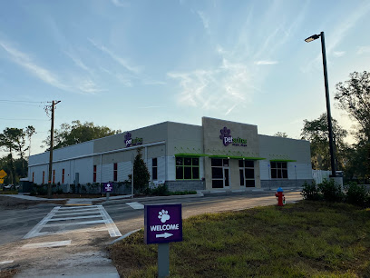 PetSuites Carrollwood