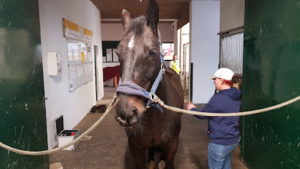 Physiotierapie Nicole - Tierhandlung in Stuttgart