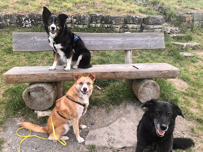 Hundeservice Ludwigsburg