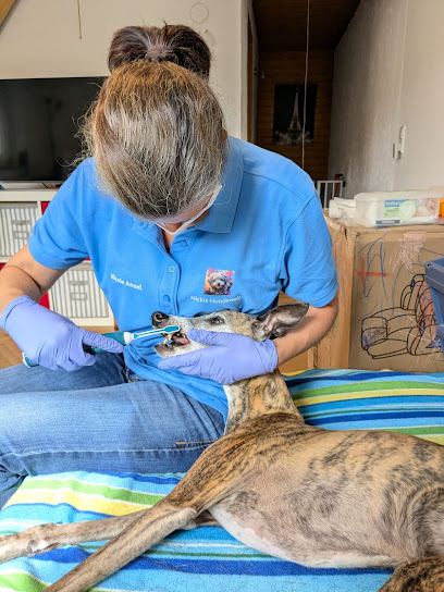 Nickis Hundewelt