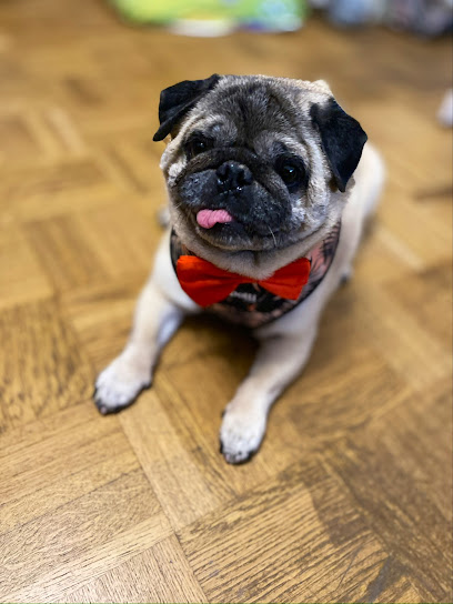 Tierarztpraxis Weinmann Stuttgart