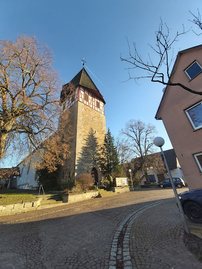Walddorfhäslach - Tierhandlung in Stuttgart