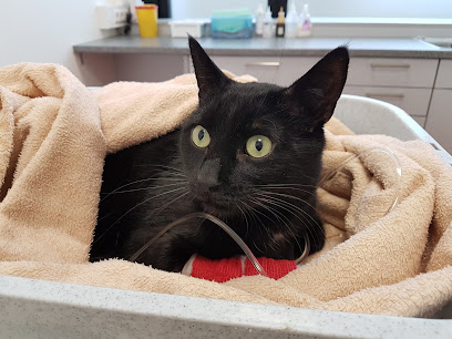 Kleintierzentrum Stuttgart Vaihingen