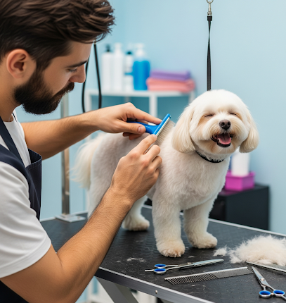 Der Hundefriseur Hundesalon