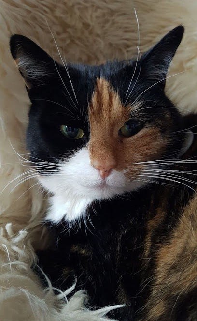 Mobile Tierärztliche Praxis Dr.med.vet. M. Becker