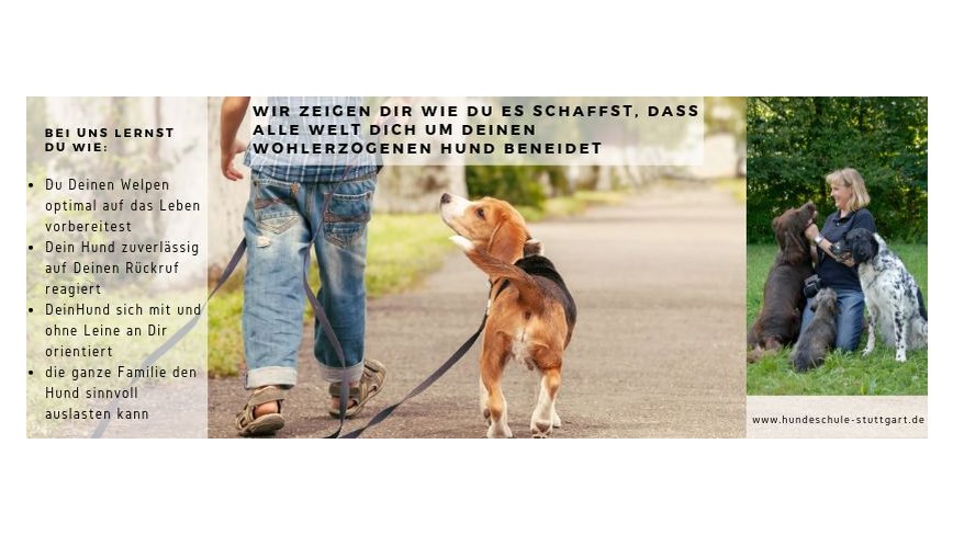Hundeschule Stuttgart - Foto 2