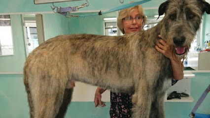 Tuckers Hundesalon - Tierhandlung in Düsseldorf