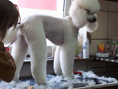 Beate‘s Hundesalon - Tierhandlung in Düsseldorf