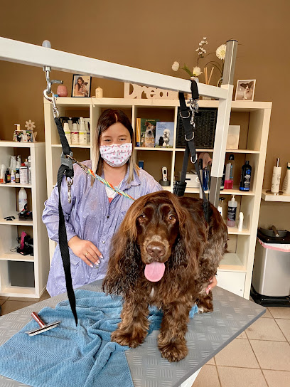 Bel Dogs - Professioneller Hundefriseur