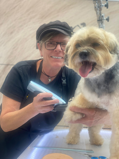 Little Groomer | Hundefriseur - Tierhandlung in Düsseldorf