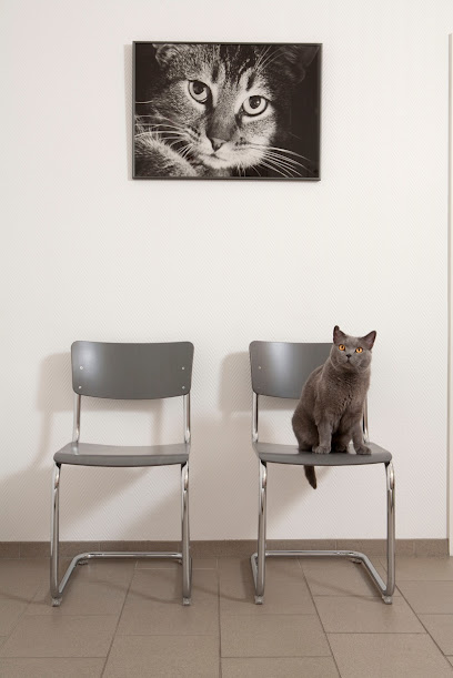 Katzenpraxis in Düsseldorf - Dr. med. vet. Katja Beyer GPCert (FelP) - Tierhandlung in Düsseldorf