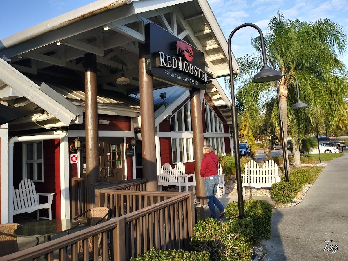 Pointe At Tampa Palms - Photo 2