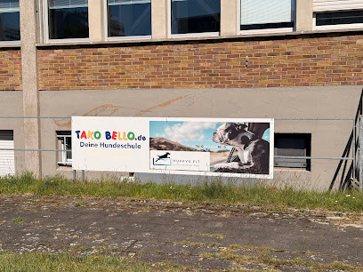 Tako Bello Hundeschulen Indoor Halle