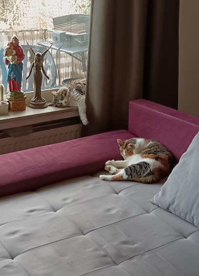 Dr. med. vet. Jost Figge. Fachtierarzt für Kleintiere