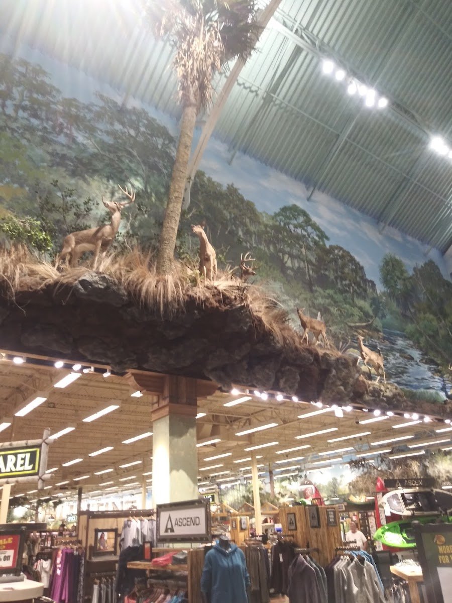 Bass Pro Shops - Photo 3