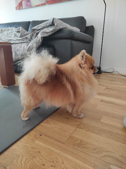 RUMO Dog Spa & Boutique - Tierhandlung in Düsseldorf