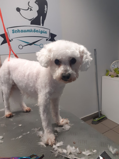 Hundesalon Schaumkönigin Leipzig