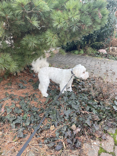 Hundesalon Cleopatra Inh. A. Höck-Neumann