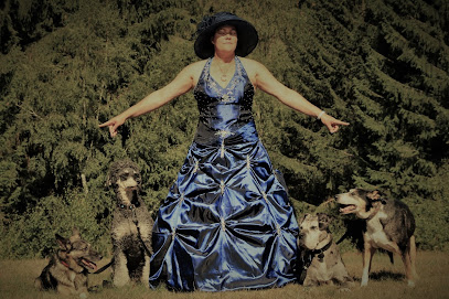 Hundebetreuung Leipzig