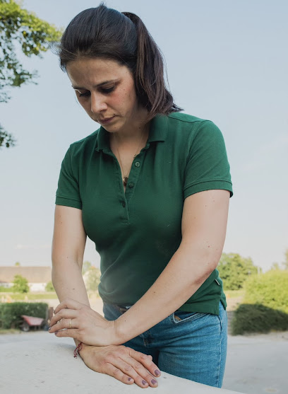 Mobile Tierarztpraxis für Chiropraktik Dr. Amelie Plenge - Tierhandlung in Leipzig