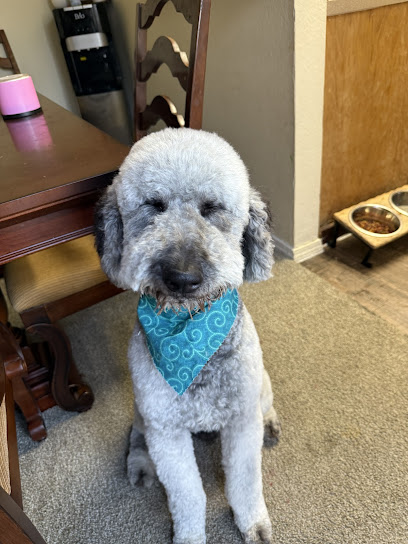 Cathy's Critter Cuts