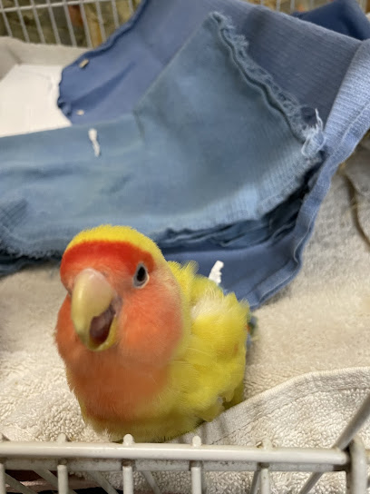 Best Friends Veterinary Hospital