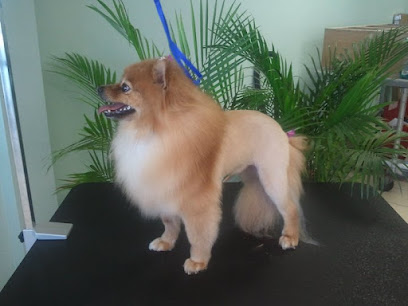 Pawcasso's Pet Styling