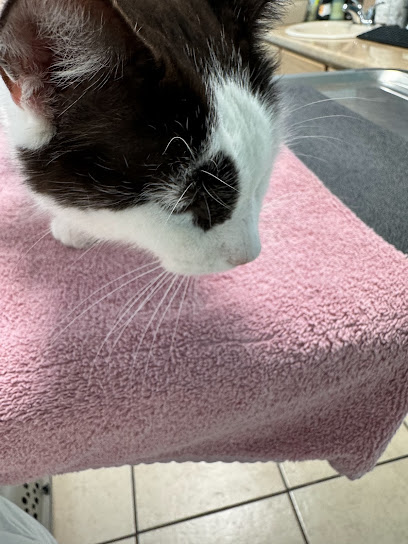 Elm Creek Animal Hospital