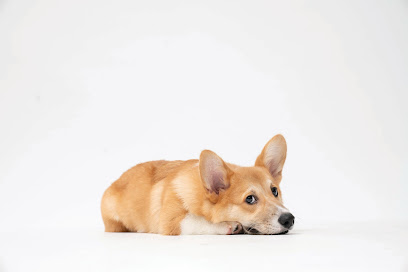 Scenthound Tulsa South