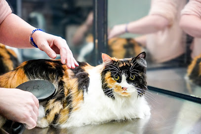 don’t stress meowt - Groom and Board