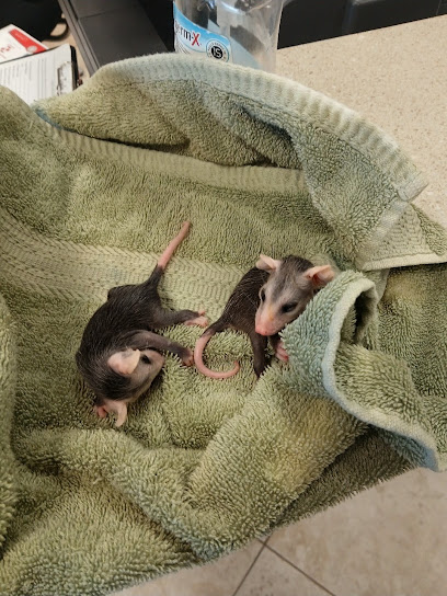 Forest Trails Animal Hospital