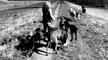 Jana Sennewald- Haustier-und Heimservice /Gassiservice Leipzig/Lieblingstier-Leipzig