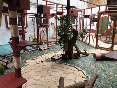 Katzenpension Tiergarten Leipzig - Tierhandlung in Leipzig