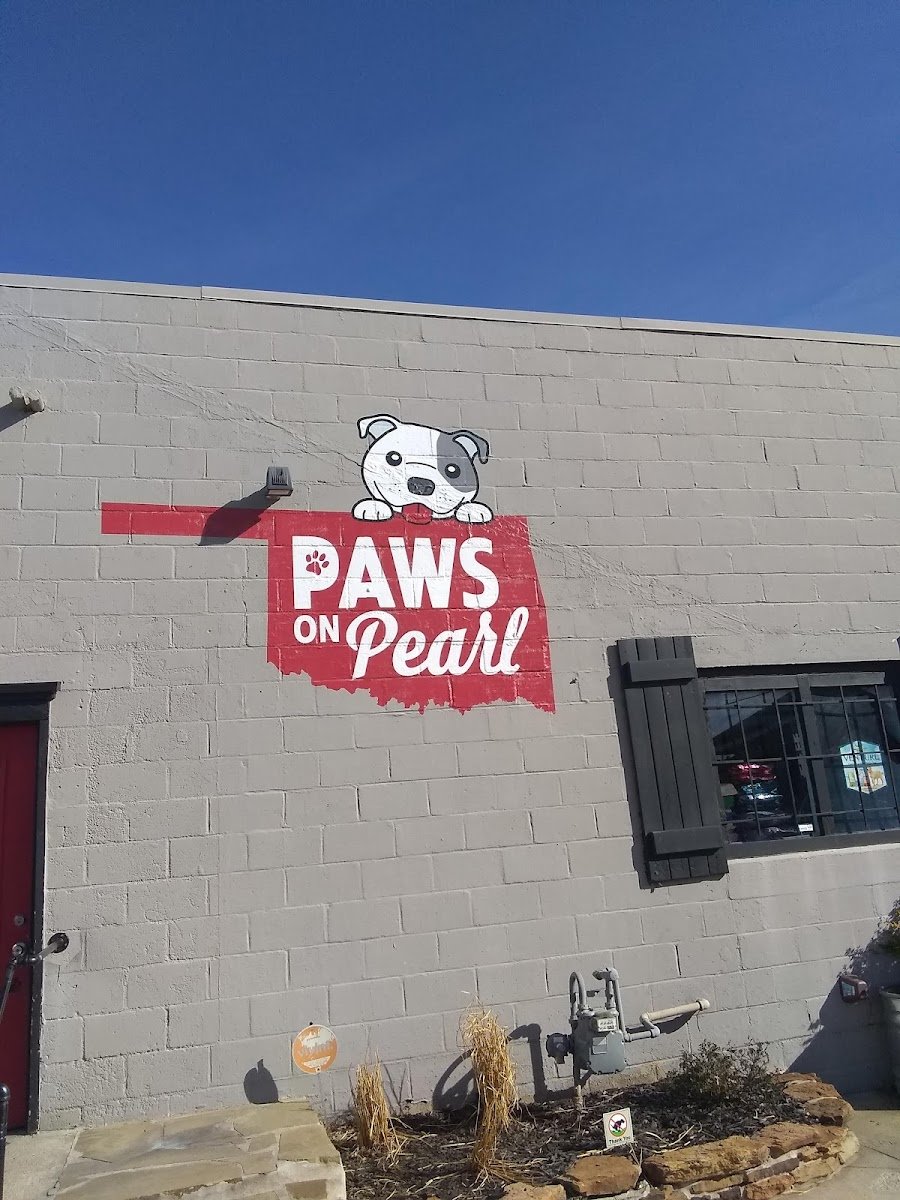 Paws on Pearl - Photo 2