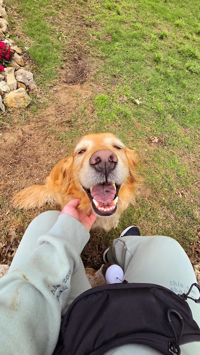 Happy Paws Owasso - Photo 2
