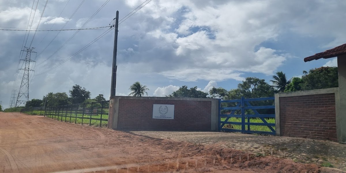 CLINICAT (Clínica de Cavalo Atleta)