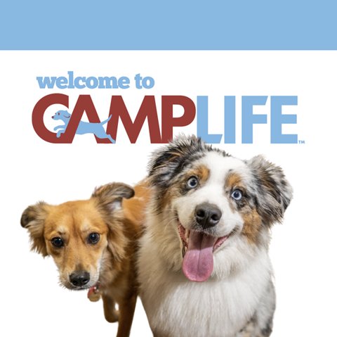 Camp Bow Wow Tulsa - Photo 2