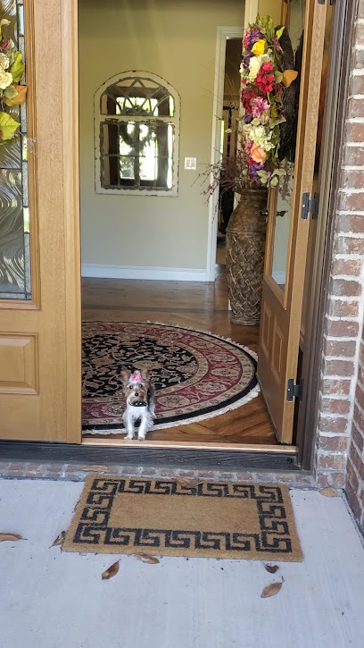 Oh Behave Dog Training & Pet Sitting