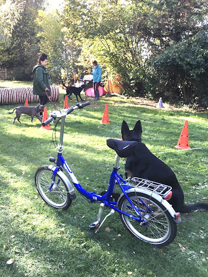 Hundetrainerin Brigitte Götze - Tierhandlung in Leipzig