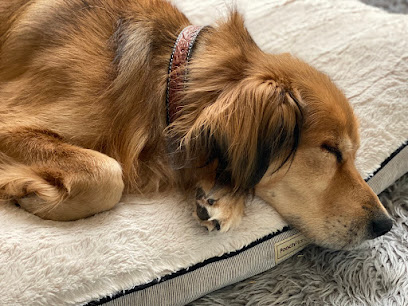 Kit 'n' Pup Care, LLC