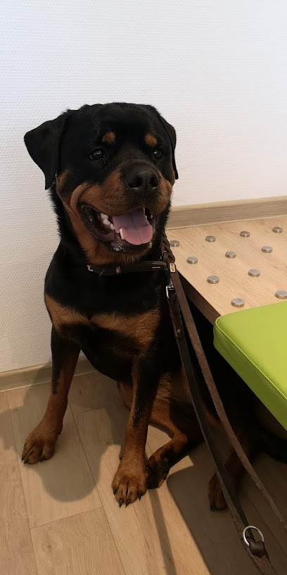 Dr. med. vet. Kai Boye