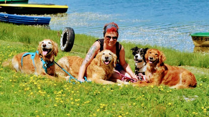 HundsGelenkig - ganzheitliche Balance für ihr Tier