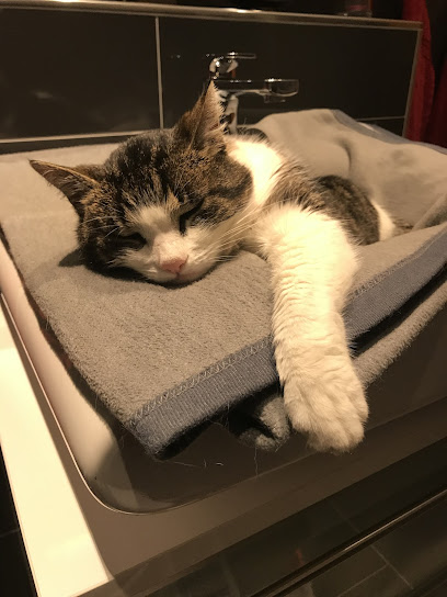 mobile Tierarztpraxis Helgrid Mitze