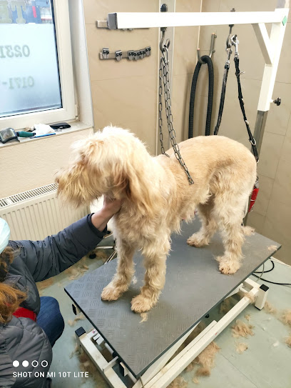 Piel Barbara Hundesalon - Dortmund - Tierhandlung in Dortmund