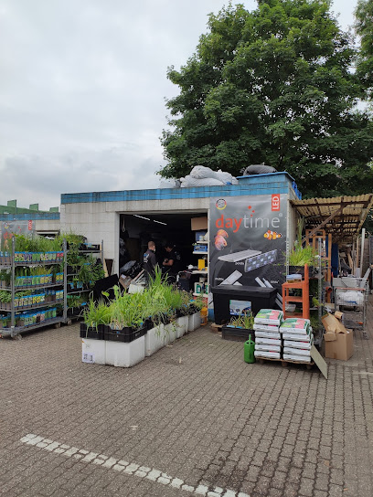 Aquaristik- und Teichwelt Wilhelmi