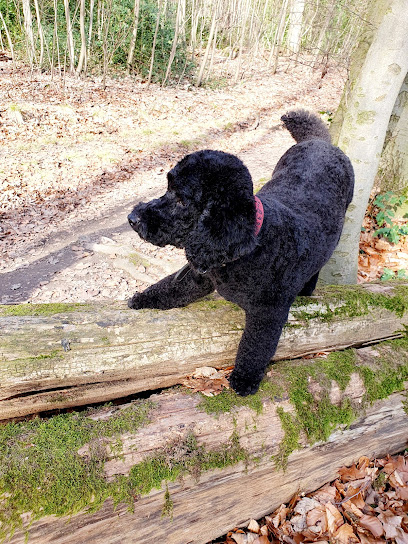 Die Hunde Oase - Tierhandlung in Dortmund