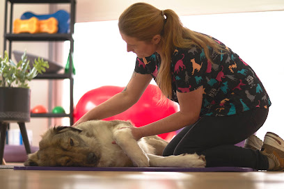 Hundephysiotherapie Nadine Amsberg