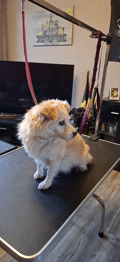 Kimpis Hundesalon - Tierhandlung in Dortmund